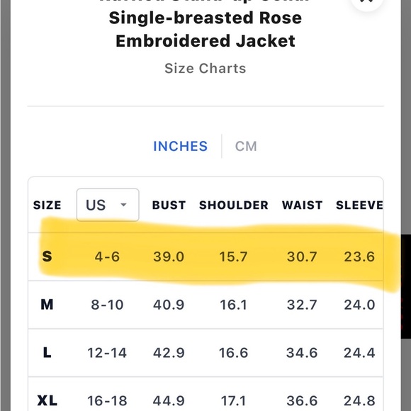 Ruffled Stand-up Collar Single-breasted Rose Embroidered Jacket - Picture 5 of 9